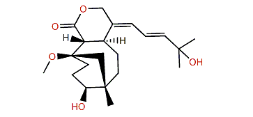 11-Methylflorlide A